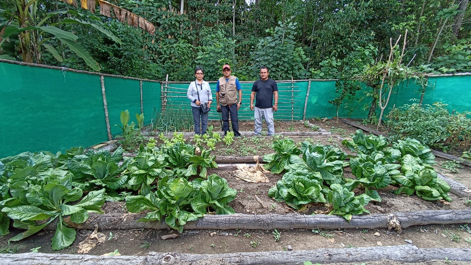 Impulsan biohuertos en 500 familias del valle de Chontayacu