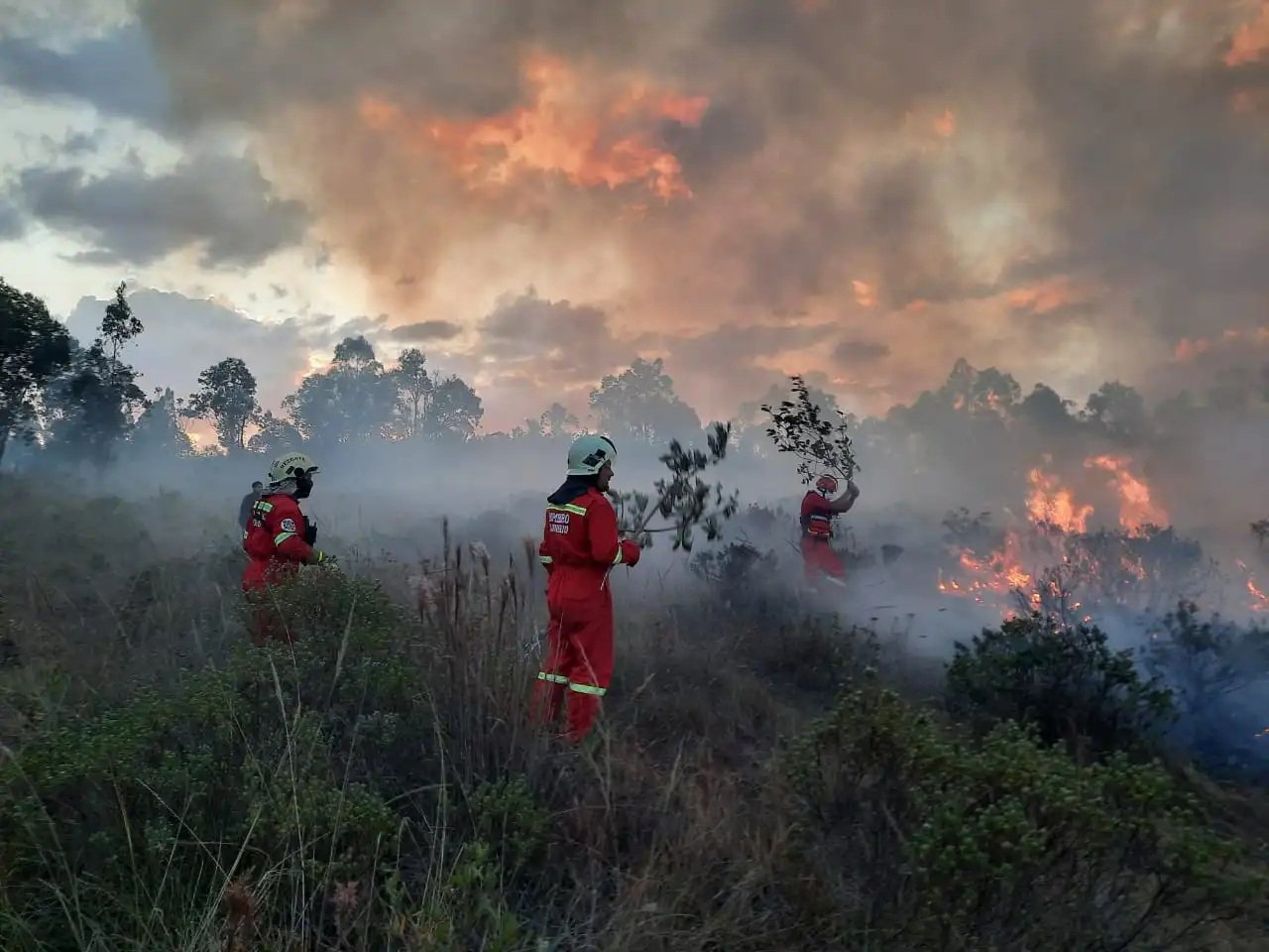 El 70 % de incendios forestales ocurrió en la Amazonía peruana en lo que va del año
