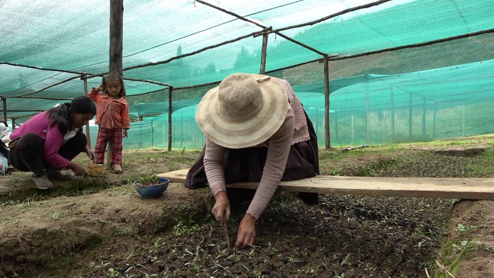 Invierten S/8.7 millones para recuperar zonas degradadas en seis zonas de Huánuco