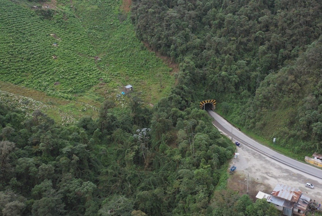 Noruega destina más de un millón de dólares para reforestación