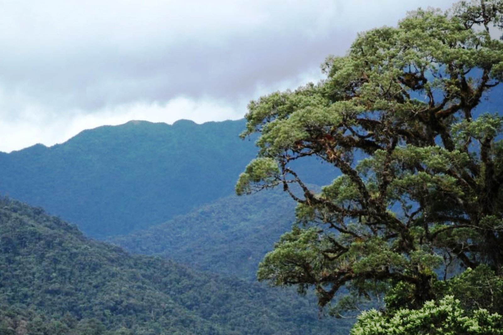 Crean en Cajamarca un fondo ambiental para financiar y desarrollar iniciativas de conservación