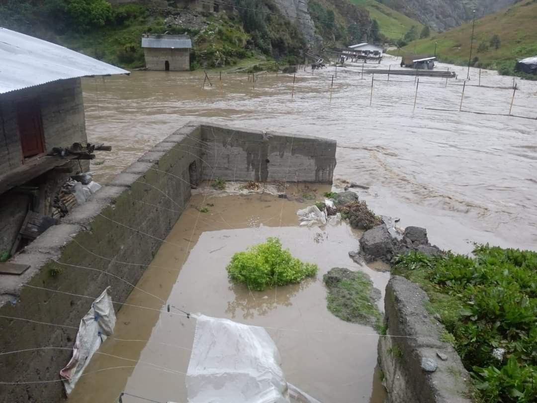 Inundación causa la muerte de 30 mil truchas en piscigranja de Jacas Grande