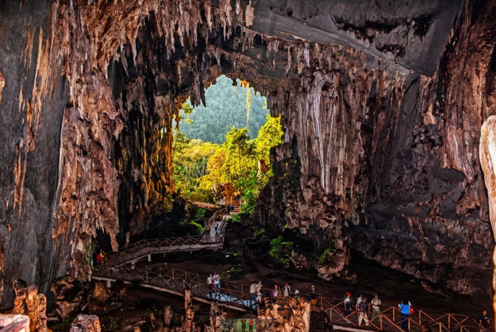 ¡Orgullo huanuqueño! Otorgan certificación oro al Parque Nacional Tingo María