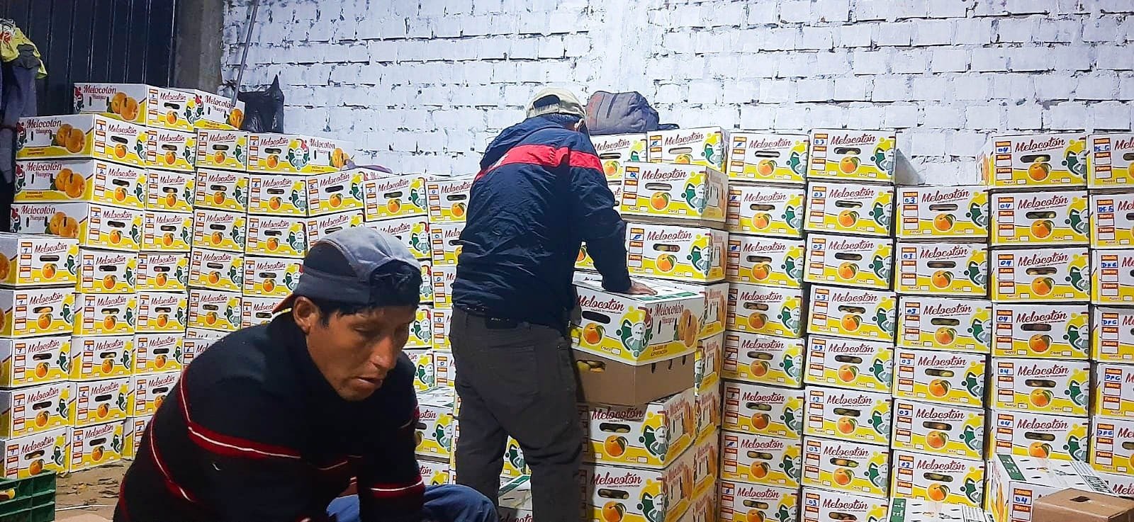 Productores de Durazno en el distrito de Marías llegan al mercado nacional y ya vendieron 20 toneladas