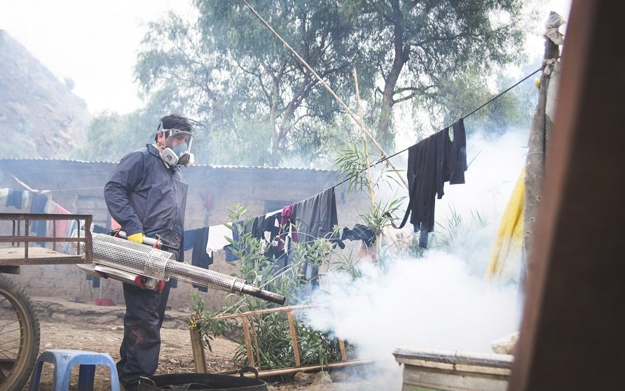 El dengue en las ciudades de Huánuco, Amarilis y Pillco Marca está controlado