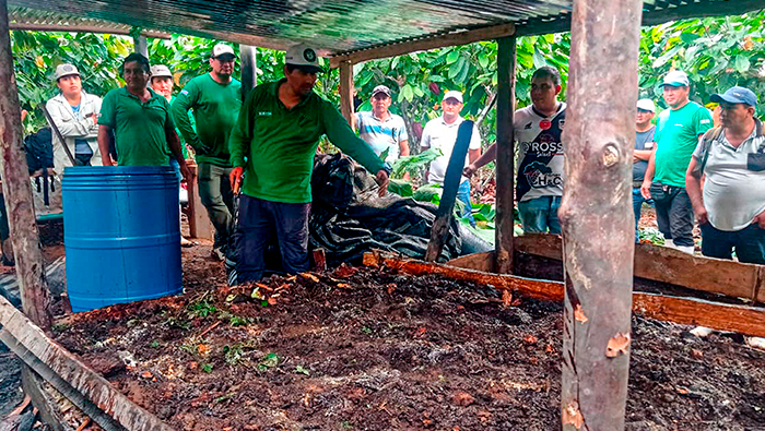 Proyectan producir 149 toneladas de abonos orgánicos para mejorar el cacao en Puerto Inca