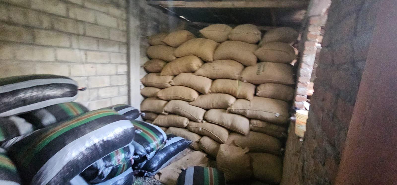 Recuperan 25 mil kilos de cacao robados por asaltantes armados