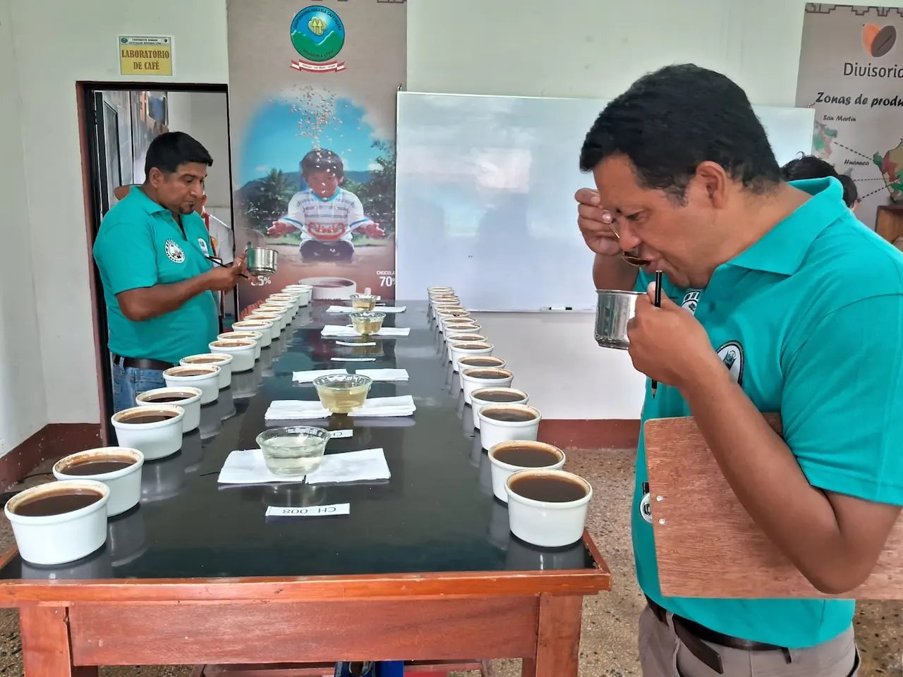 Cafetaleros de distintas zonas de Huánuco compiten para avanzar al Concafés 2024