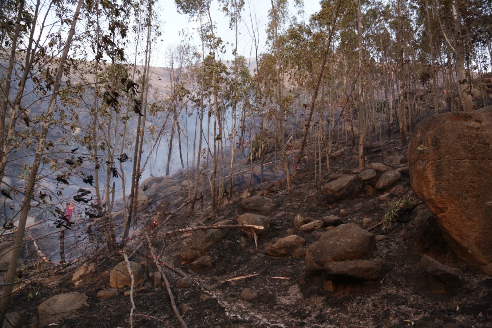 Gorehco solicita declaratoria de estado de emergencia por incendios forestales en Huánuco