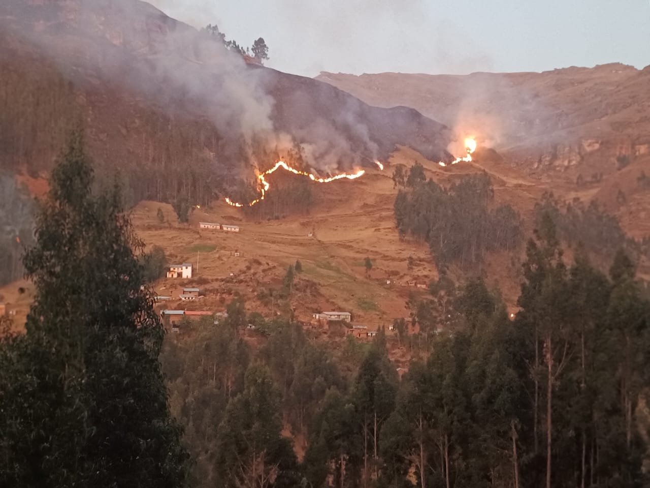 En tan solo diez días ocurrieron 77 incendios forestales más en la región Huánuco