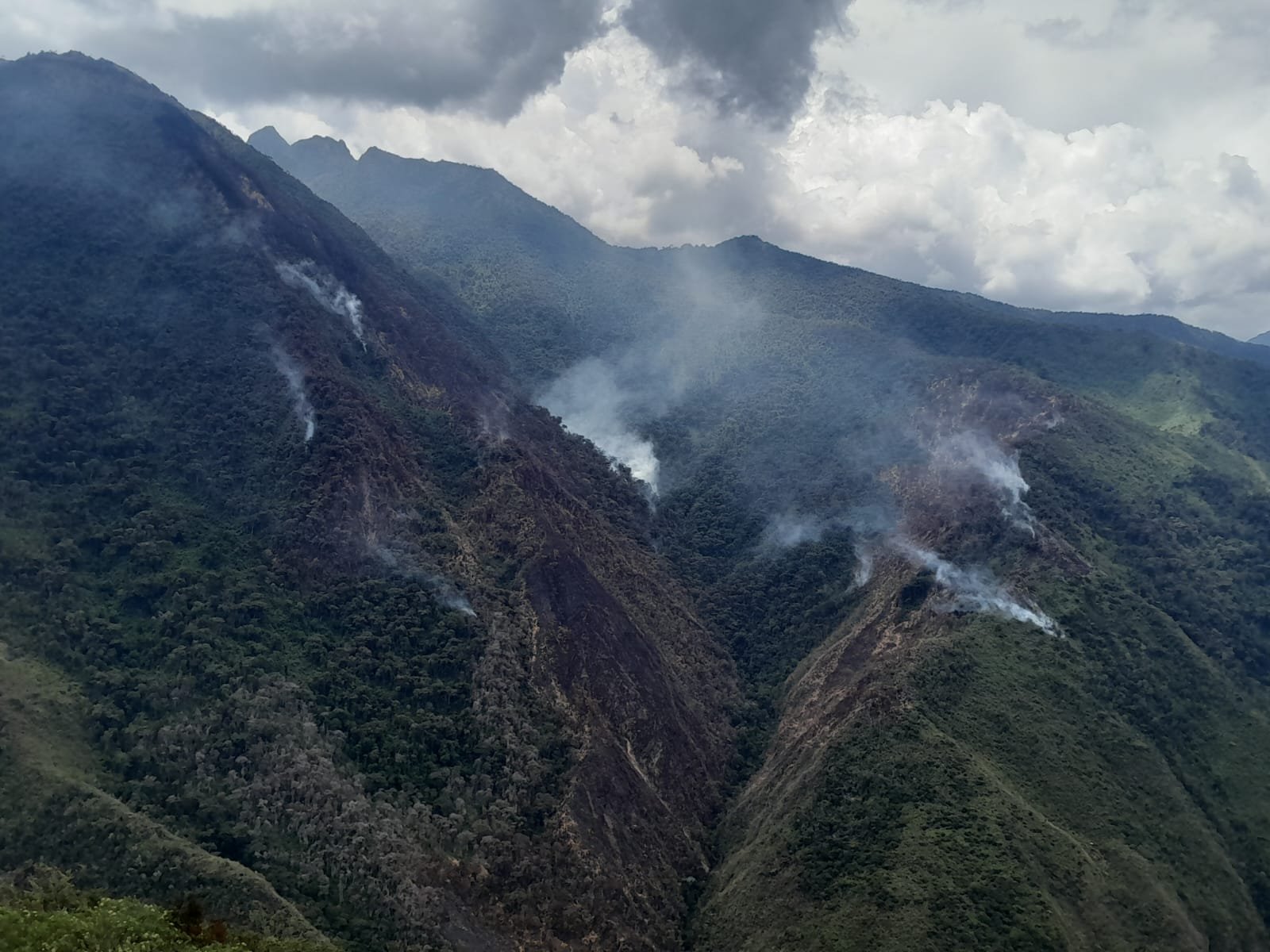 La provincia de Huánuco registra la mayor cantidad de incendios forestales