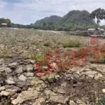 Laguna de Los Milagros sufre consecuencias del cambio climático y se va quedando sin agua