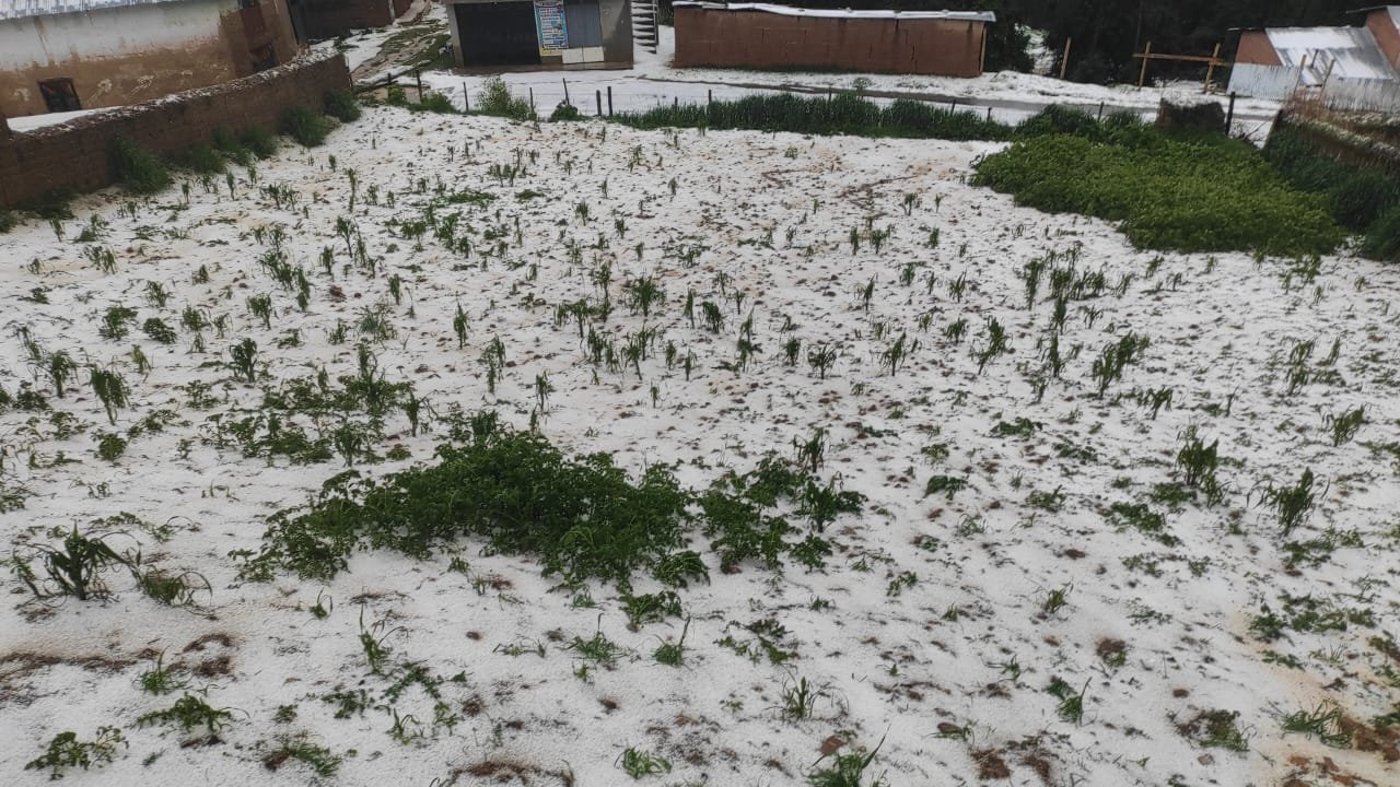 Intensa granizada causa daños en sembríos de distintas zonas de Dos de Mayo