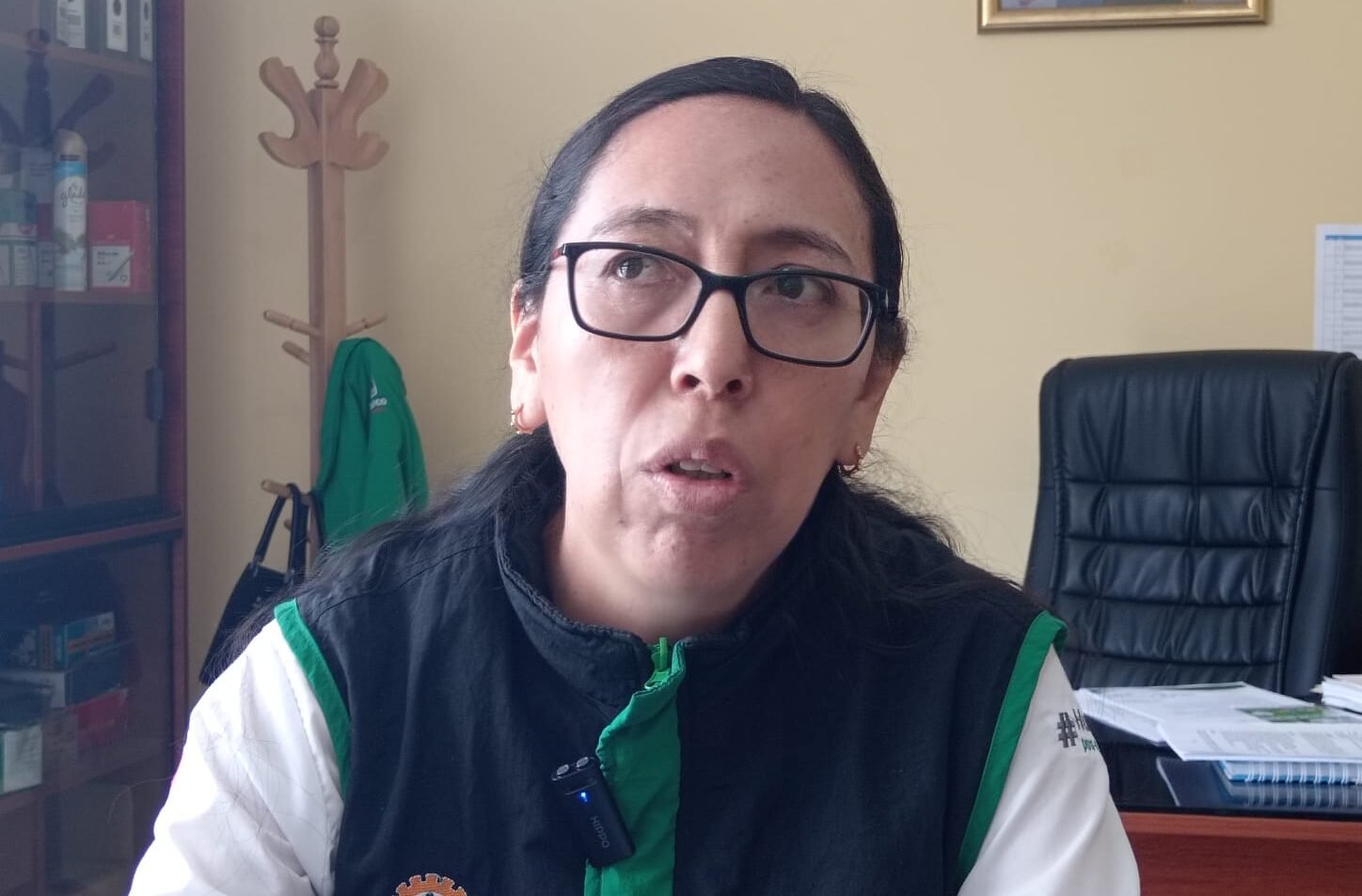 Directora de Energía y Minas pide cautela sobre rechazo a la actividad minera en Leoncio Prado