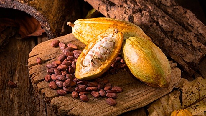 Hallazgos revelan que orígenes del cacao en el Perú se remontarían a más de 6,100 años