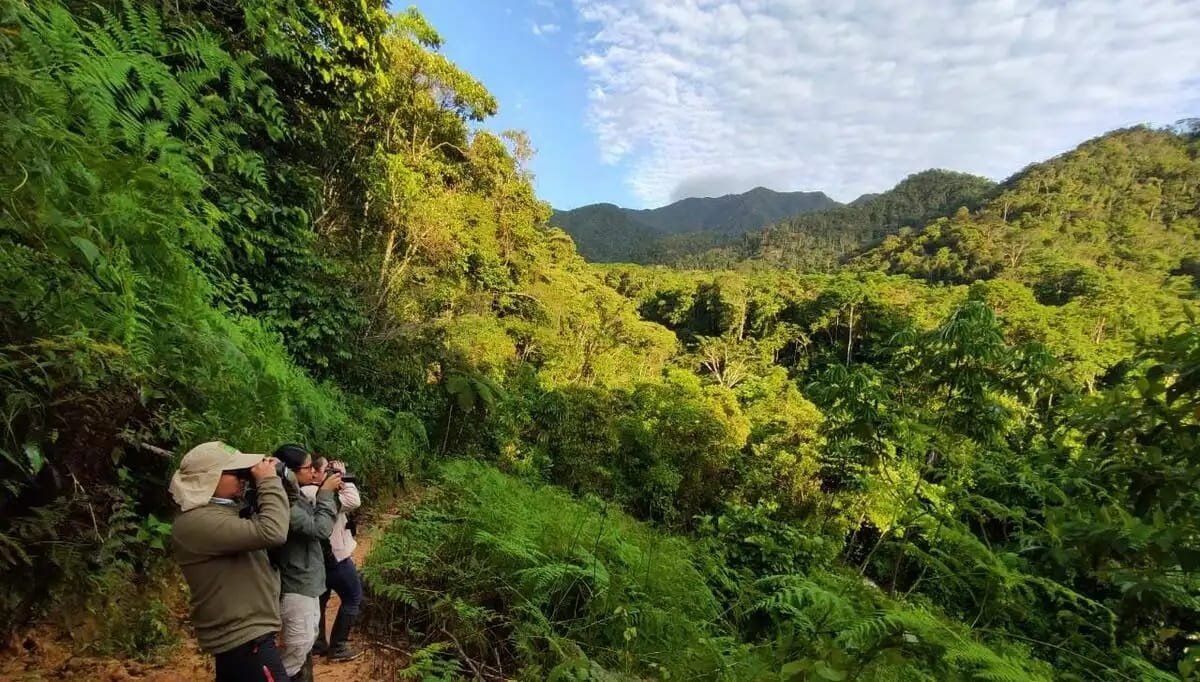 Huánuco amplía su patrimonio natural con el nuevo ACR San Pedro de Chonta