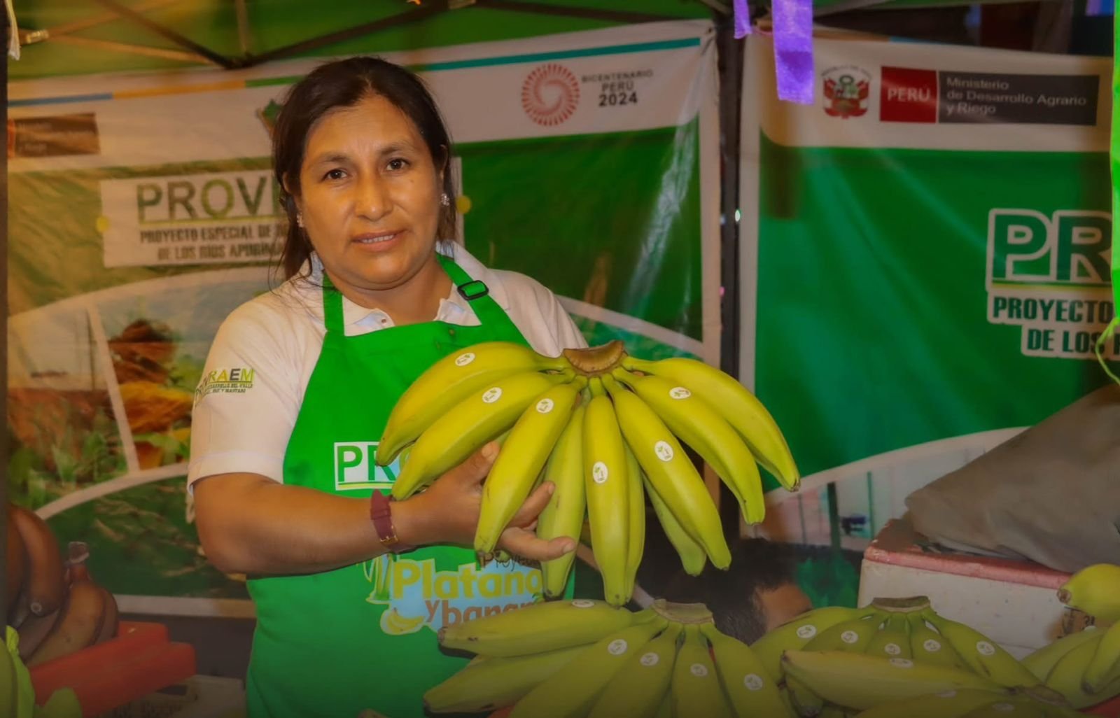 Prepararán el tacacho mixto más grande en festival del plátano en Castillo Grande