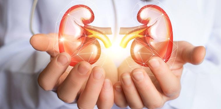 Conoce cómo con simples hábitos puedes cuidar tus riñones