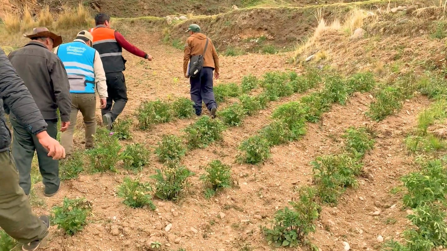 Fenómeno DANA Qori es la causante de granizadas y heladas en zonas altoandinas de Huánuco