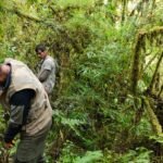 Acusan a la DRA Huánuco de cometer abuso y fraude en anulación de concesión de conservación de los bosques Monte Verde
