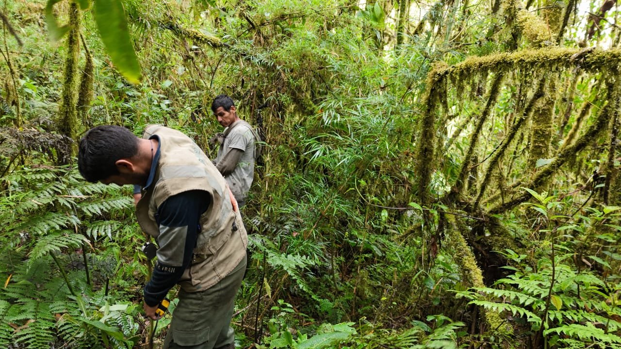 Acusan a la DRA Huánuco de cometer abuso y fraude en anulación de concesión de conservación de los bosques Monte Verde