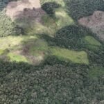 Reconocimiento aéreo confirma unas 72 hectáreas deforestadas en bosques Monte Verde