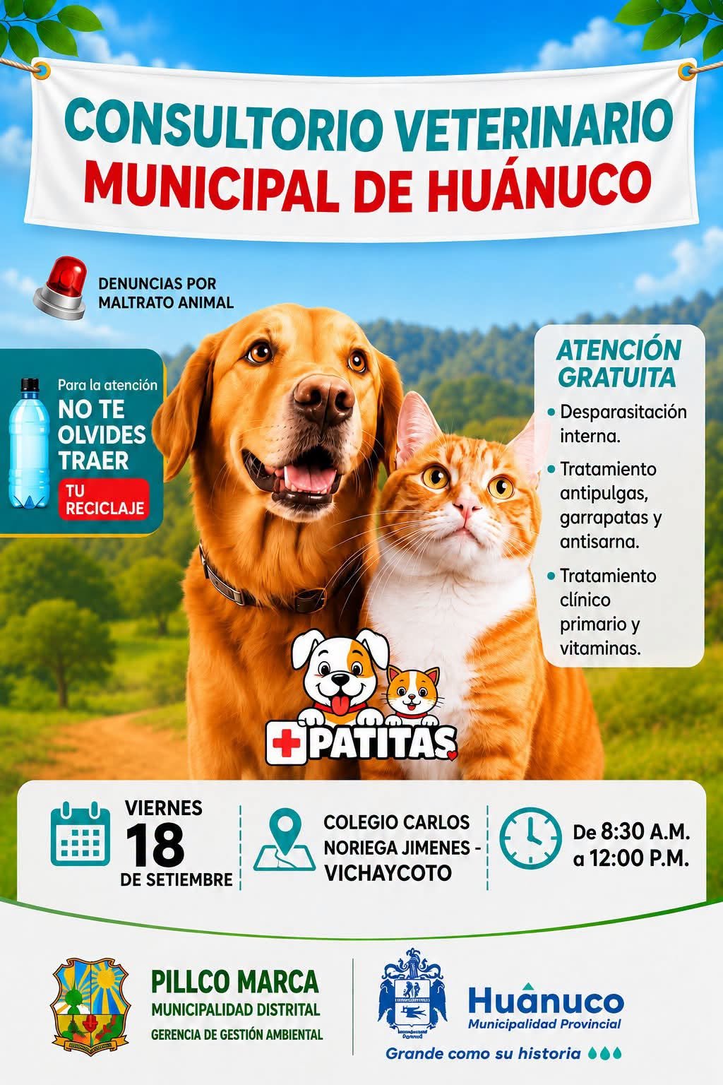🐾💚 CONSULTORIO VETERINARIO EN PILLCO MARCA